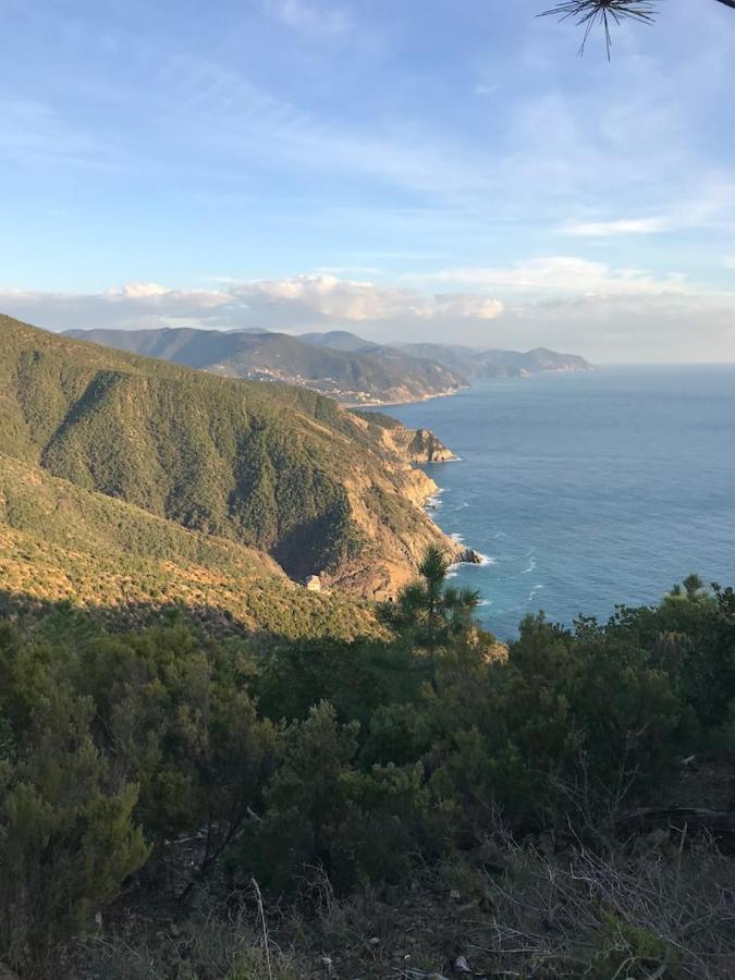 La casa di Ester Lavagna Esterno foto